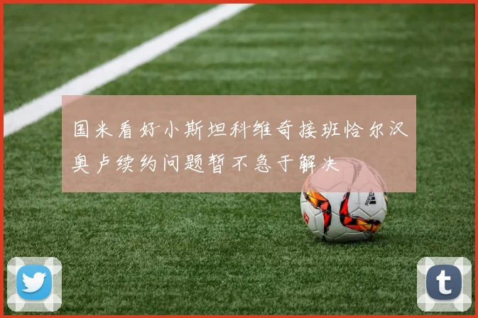 国米看好小斯坦科维奇接班恰尔汉奥卢续约问题暂不急于解决