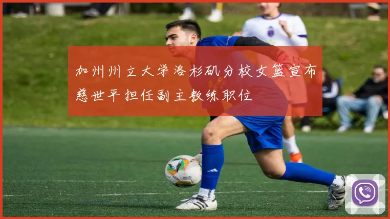 加州州立大学洛杉矶分校女篮宣布慈世平担任副主教练职位